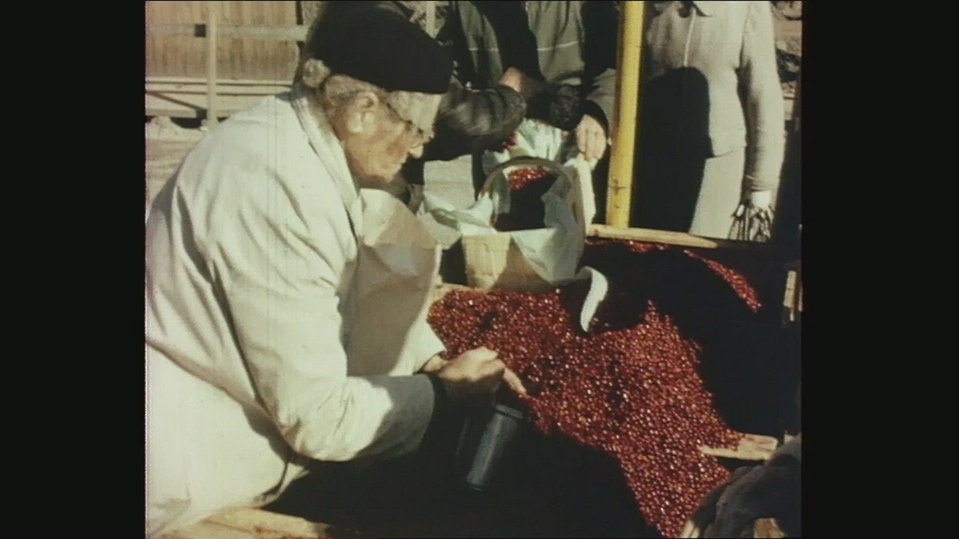 street vendors - selling lingonberries at outdoor market - 1960´s