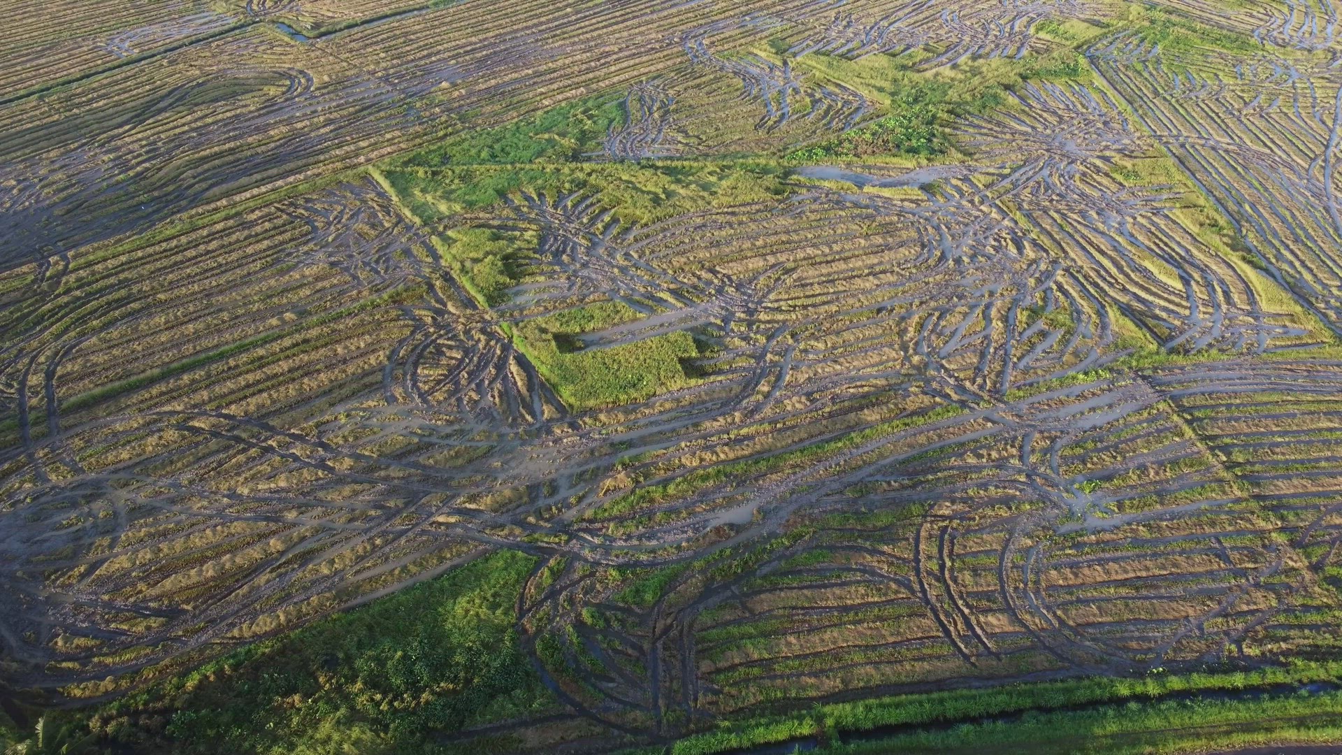 Aerial view the trace of harvester