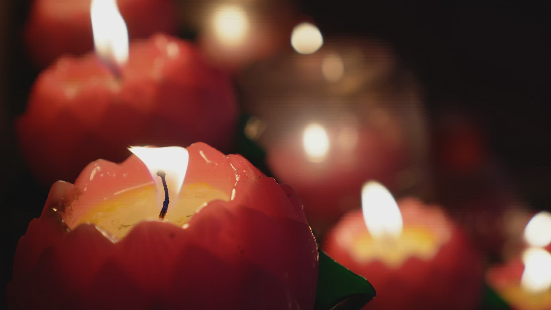 Close up the lotus candle light