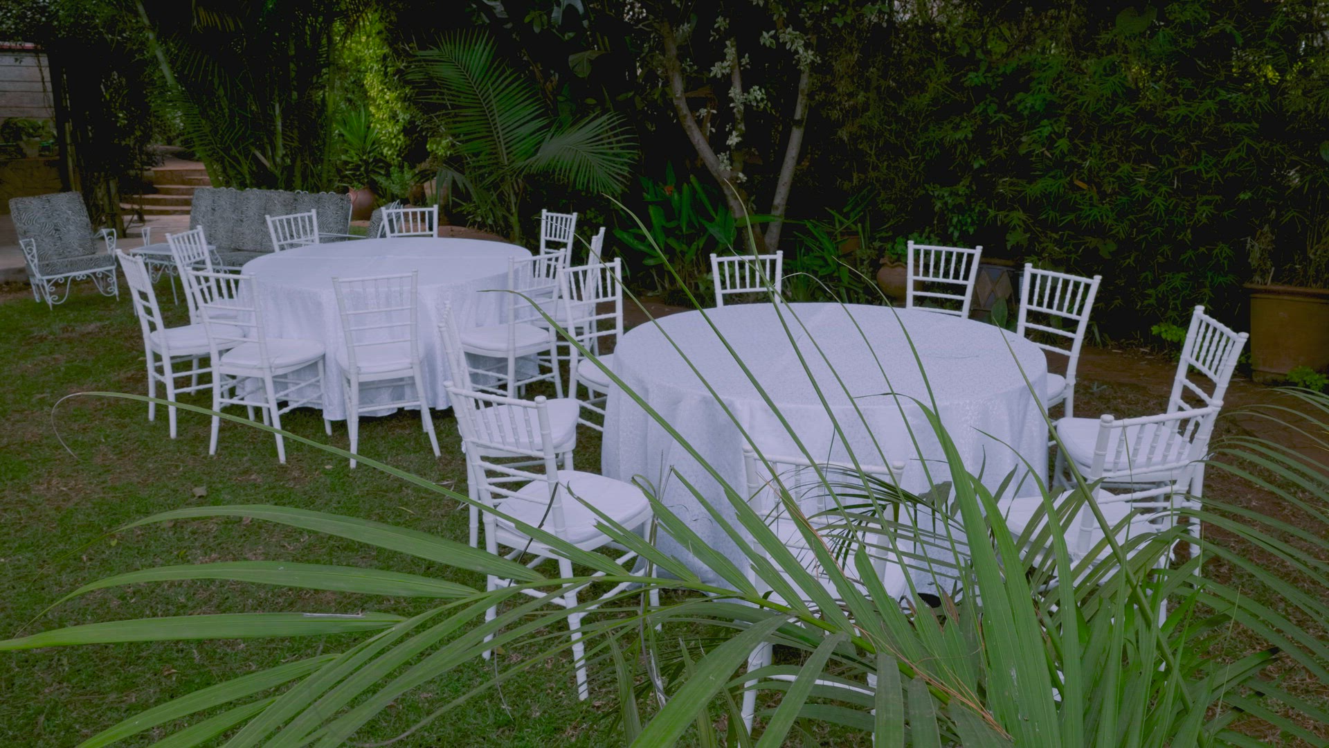 Wedding In The Forest, White Empty Chairs