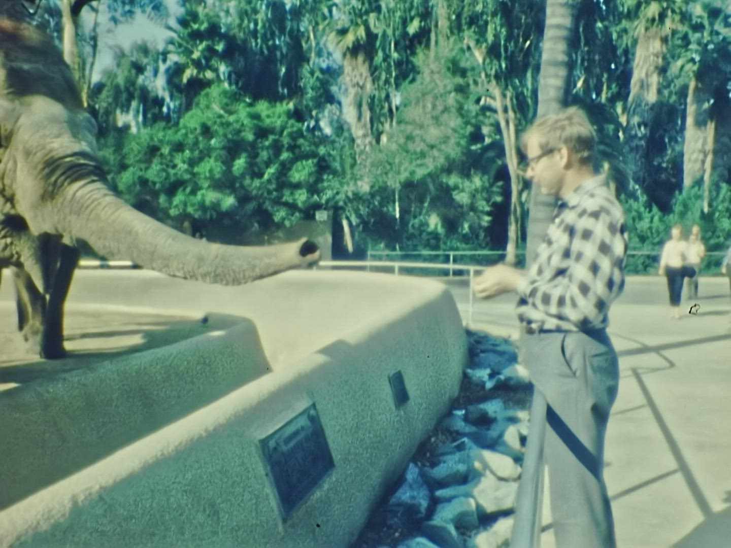 San Diego Zoo 1966