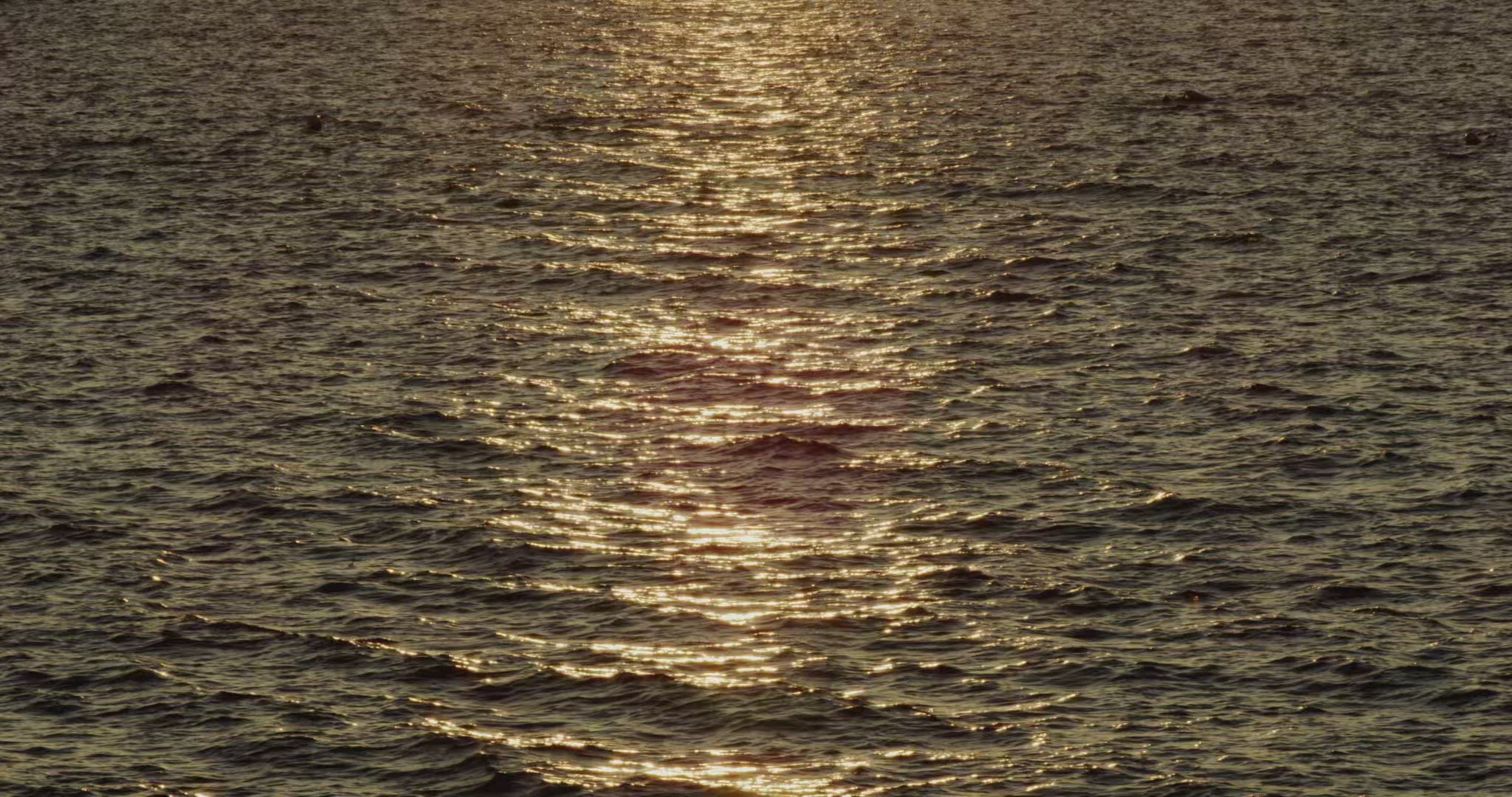 Sunset on the ocean