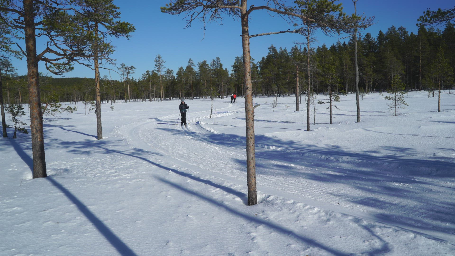 boy skiing through forest - ski tracks