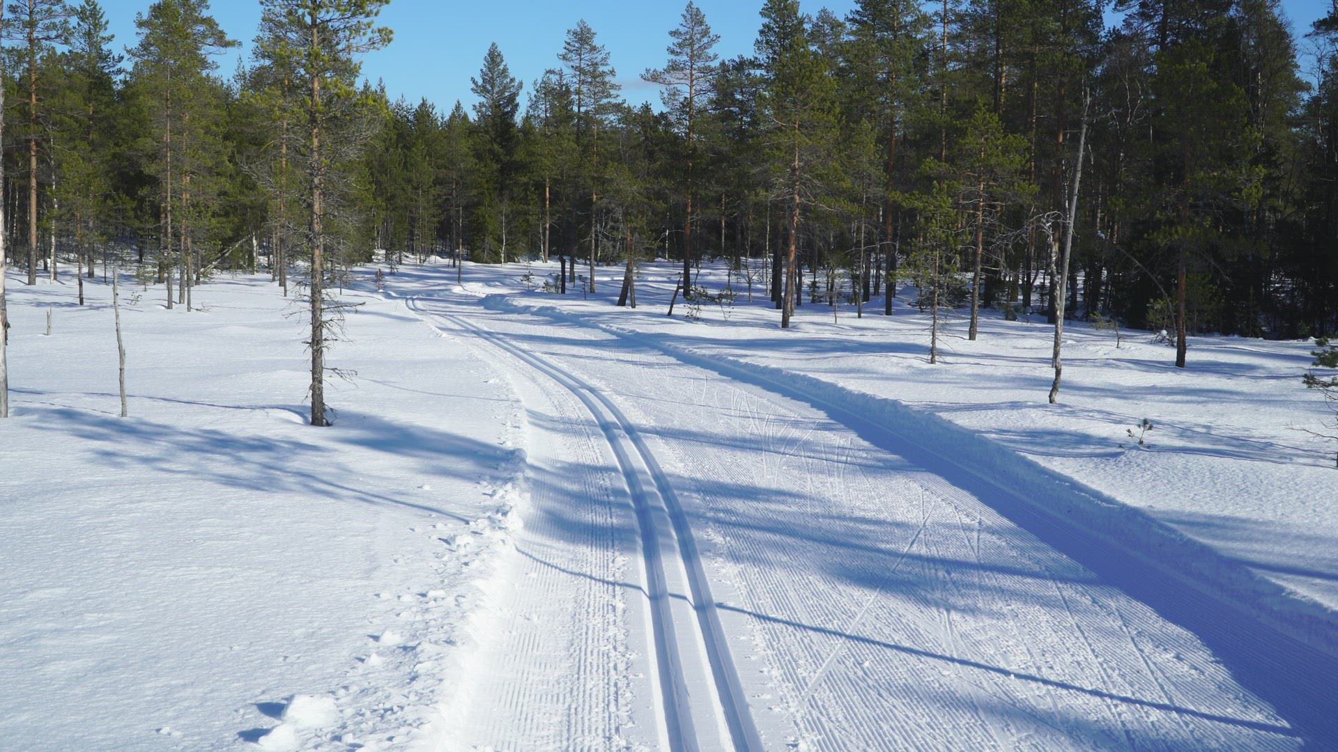 mother and two children skiing in ski tracks in swedish forest