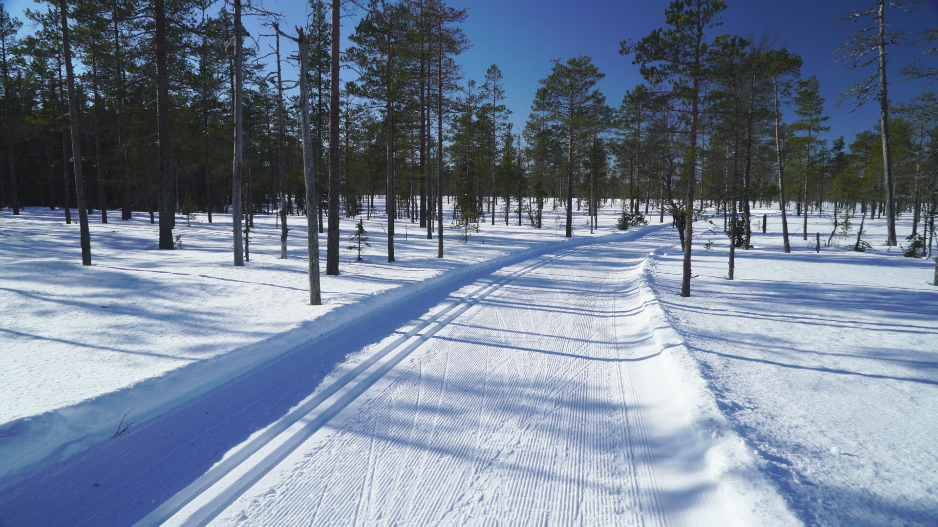 woman skiing in ski track - mire in swedish forest