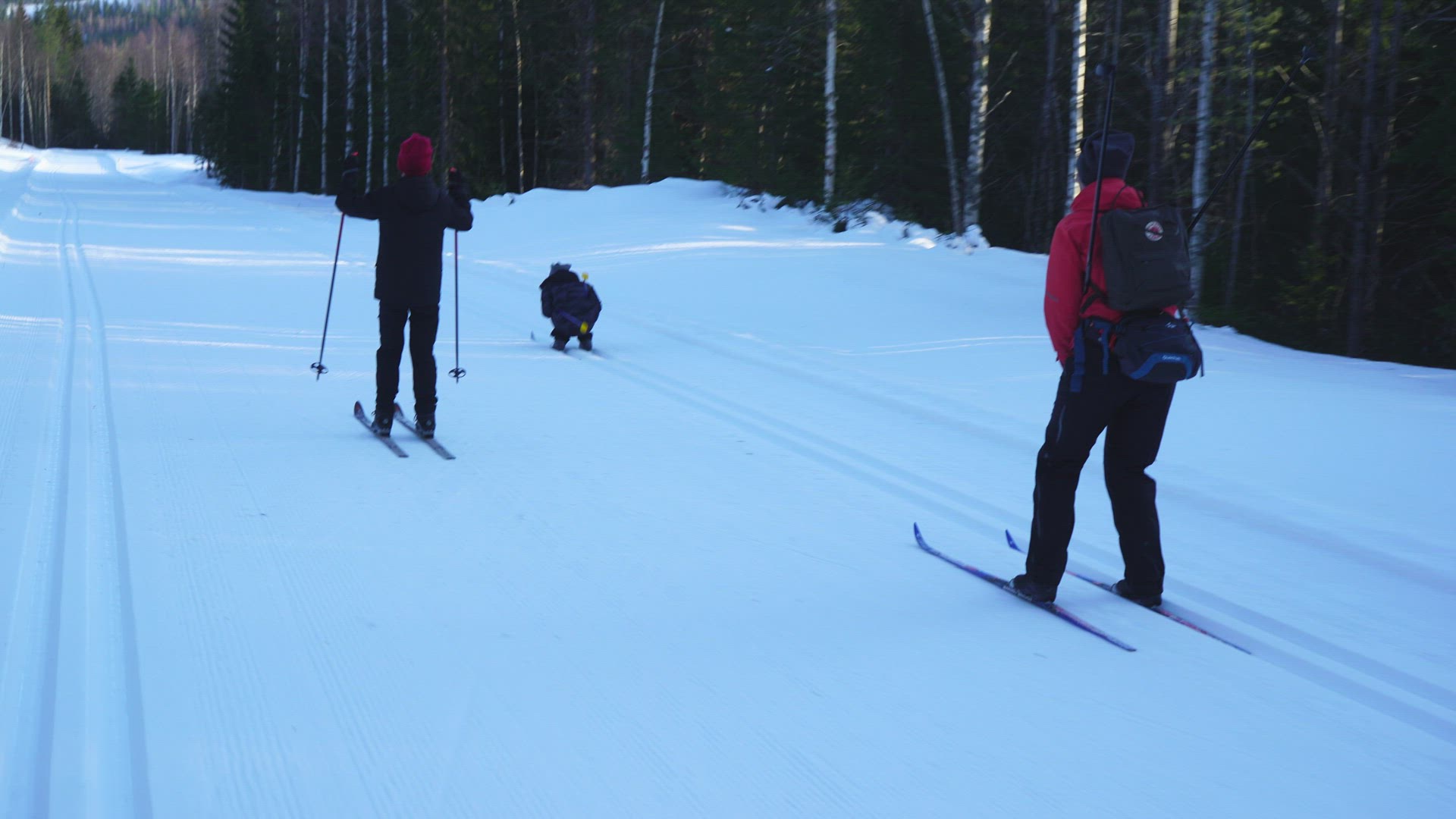 mother and two children skiing down ski tracks in swedish forest
