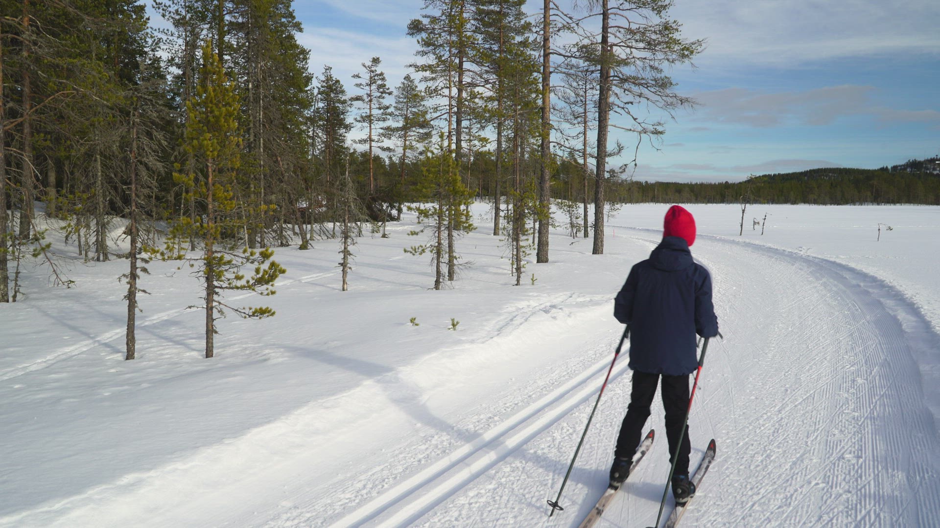 boys skiing in ski tracks in swedish forest