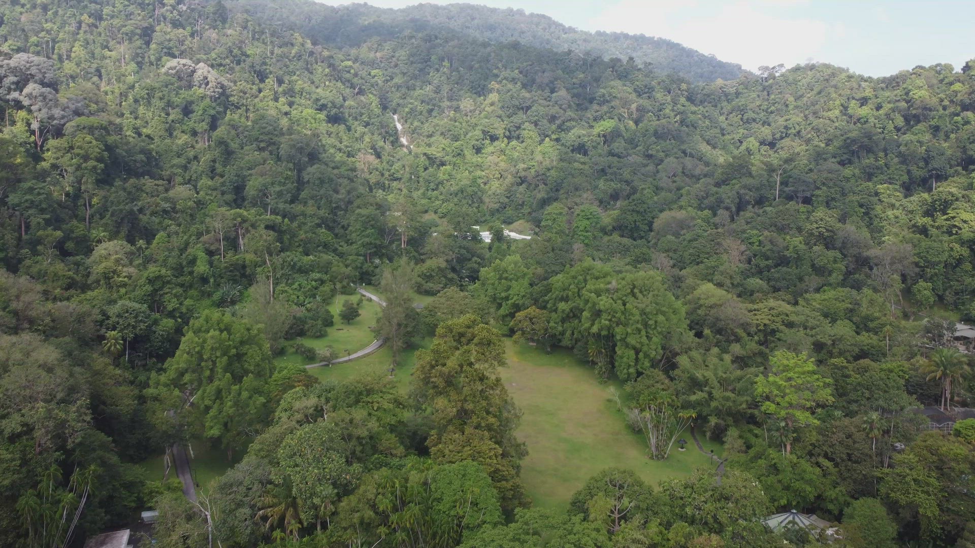 Aerial view Penang Botanical Garden
