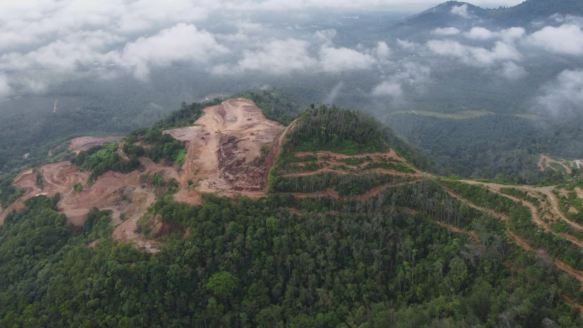 Aerial view deforestation land clearing