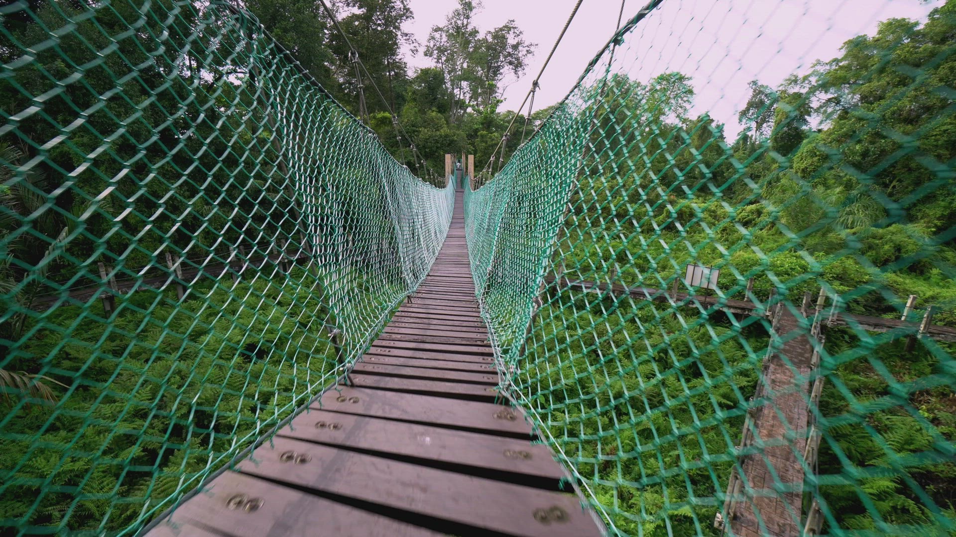 POV run on canopy walk