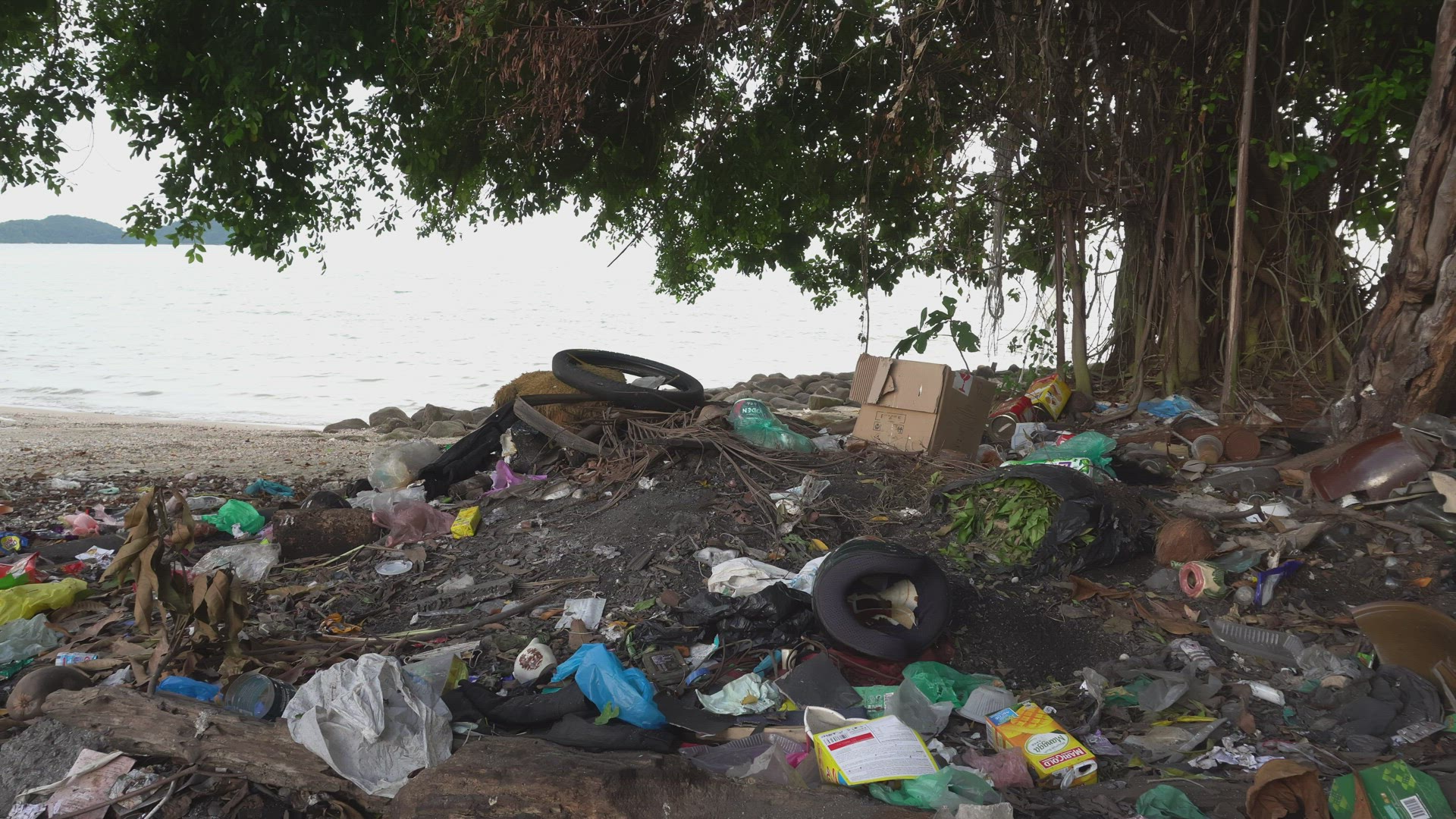 Rubbish plastic, bottle, tire , box beside tree