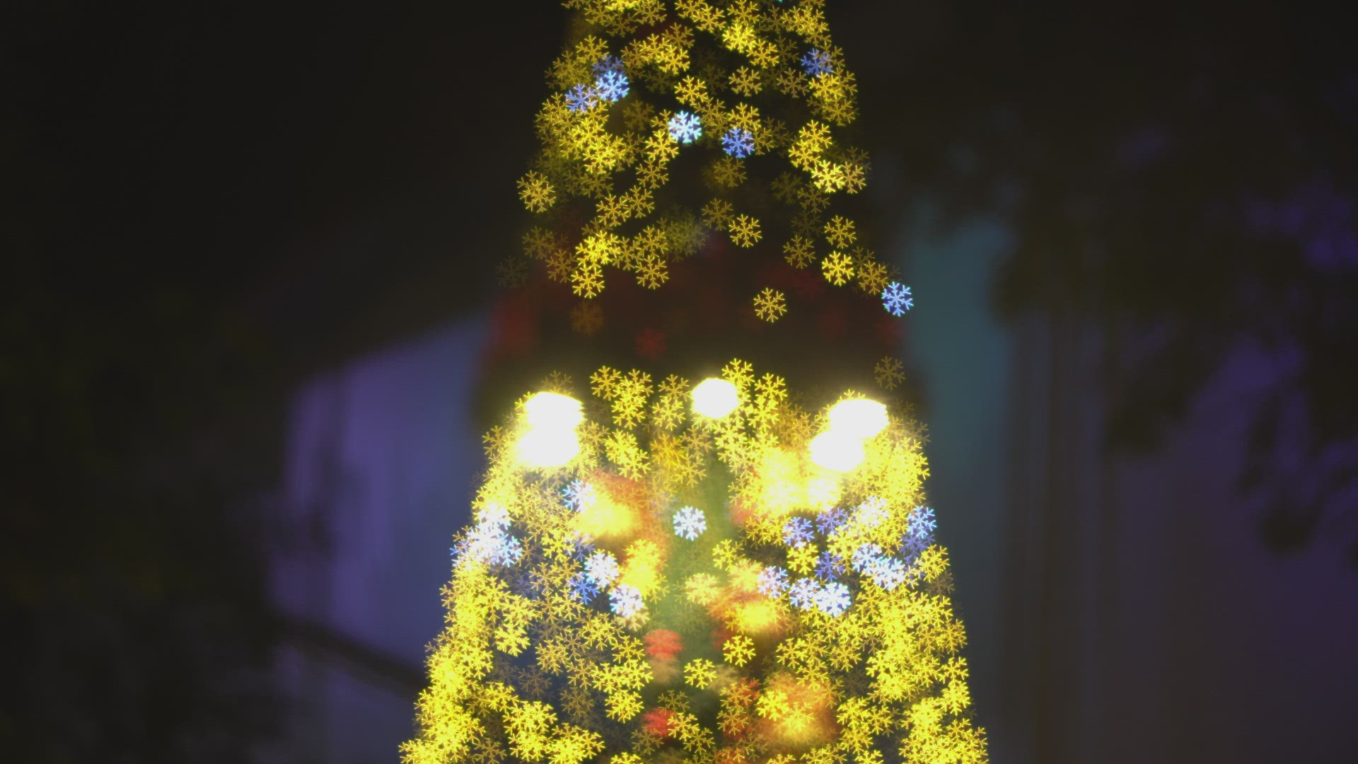 Blur christmas tree bokeh light