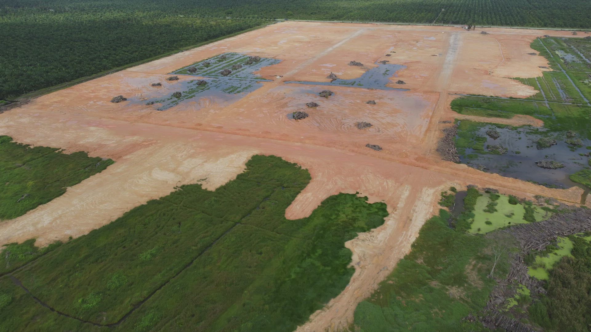 Large area of trees is cut down or land clearing