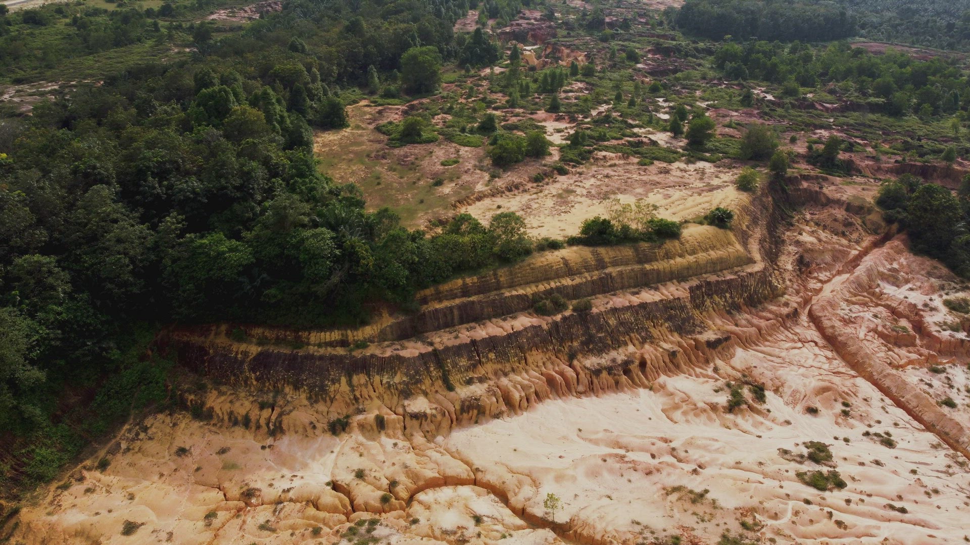 Yellow soil at land after the green trees is cut down