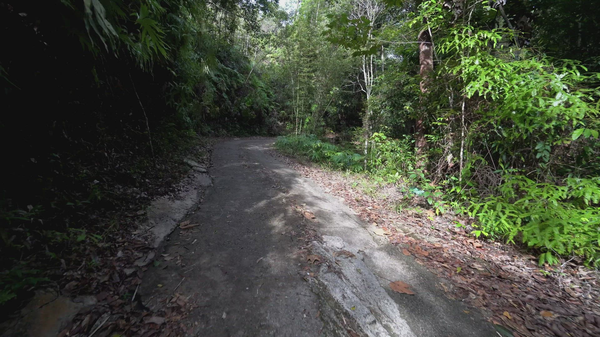 POV drive at the cement road