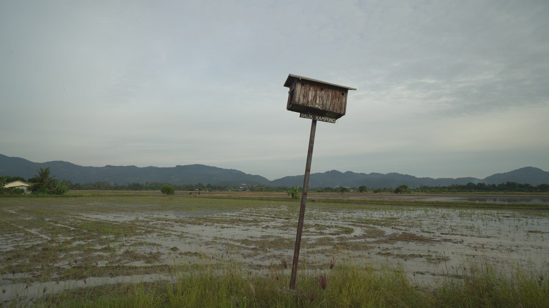 Malays word Balik Kampung mean going back hometown