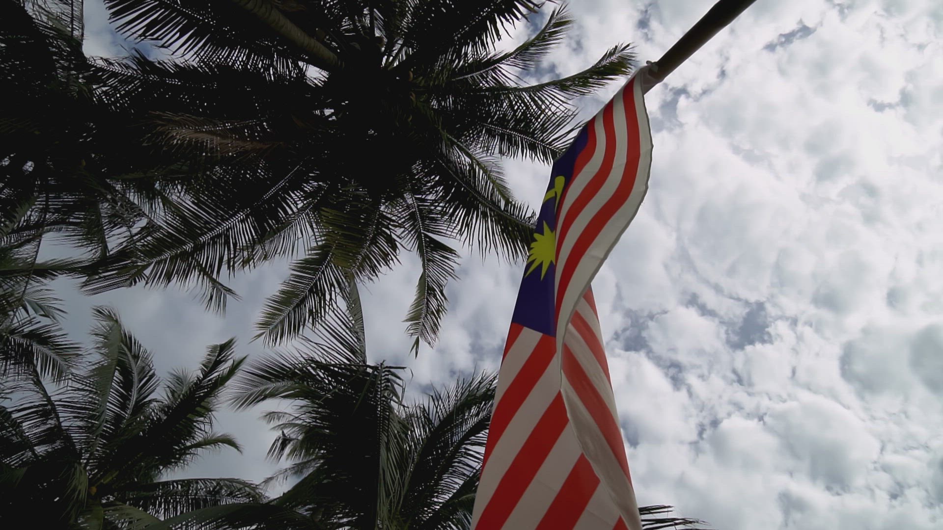Slow motion Malaysia flag waving with coconut