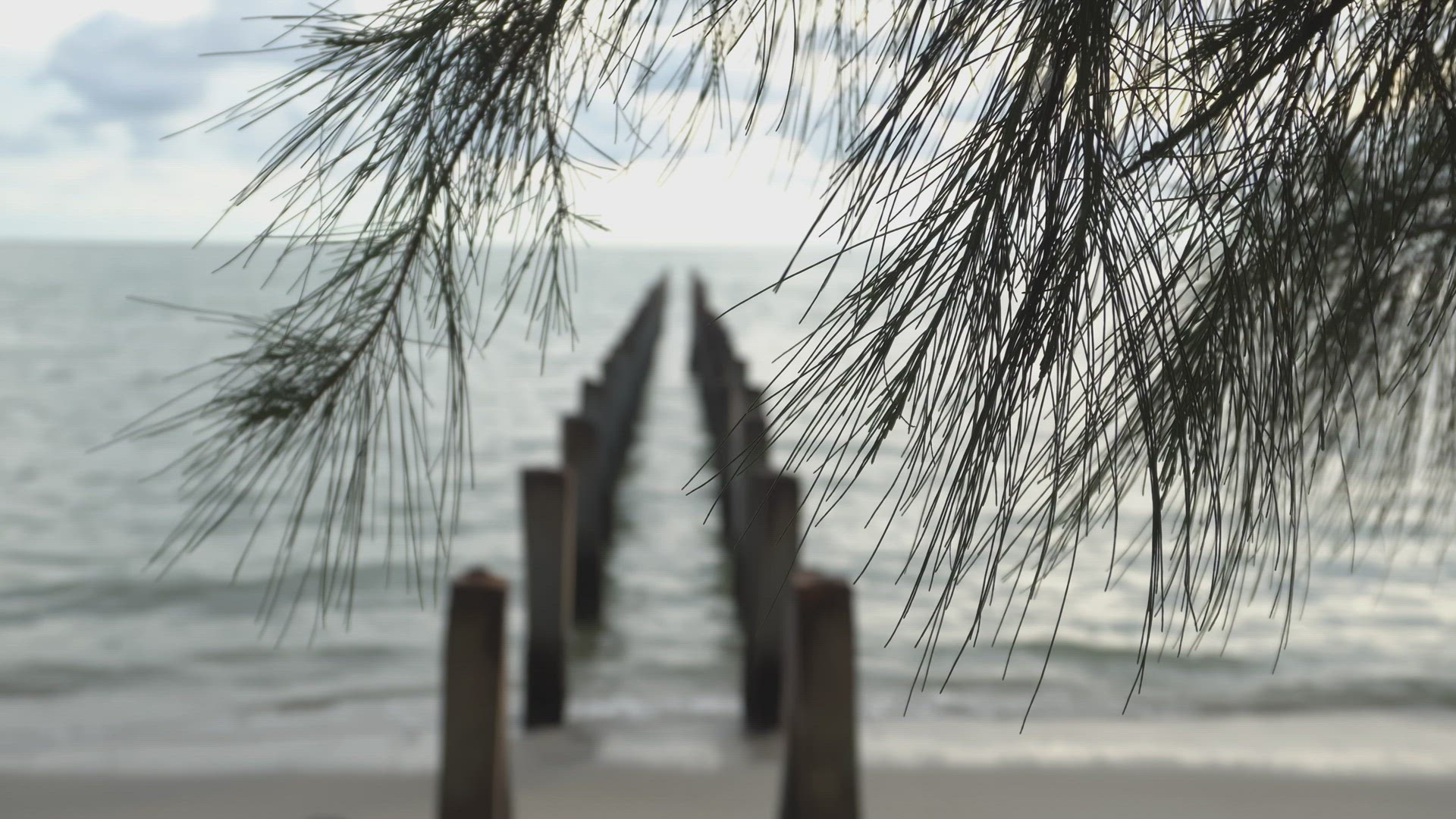 Abandoned pole of broken bridge at beach