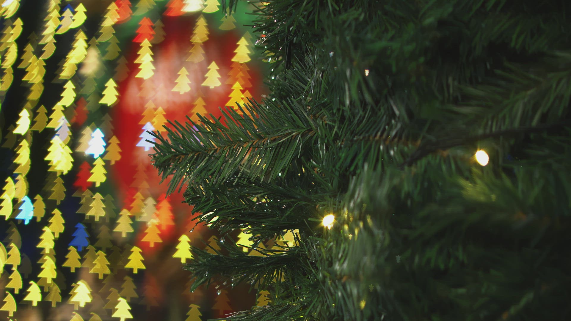 Green christmas leave with beautiful background.
