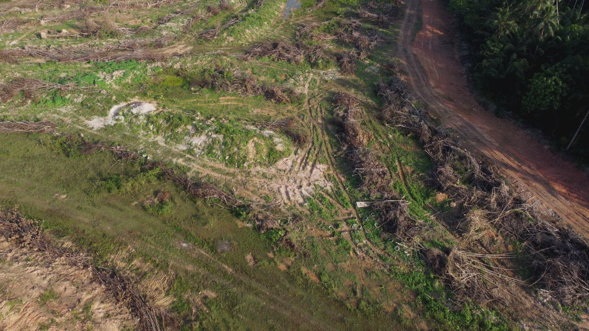 Aerial view land clearing.