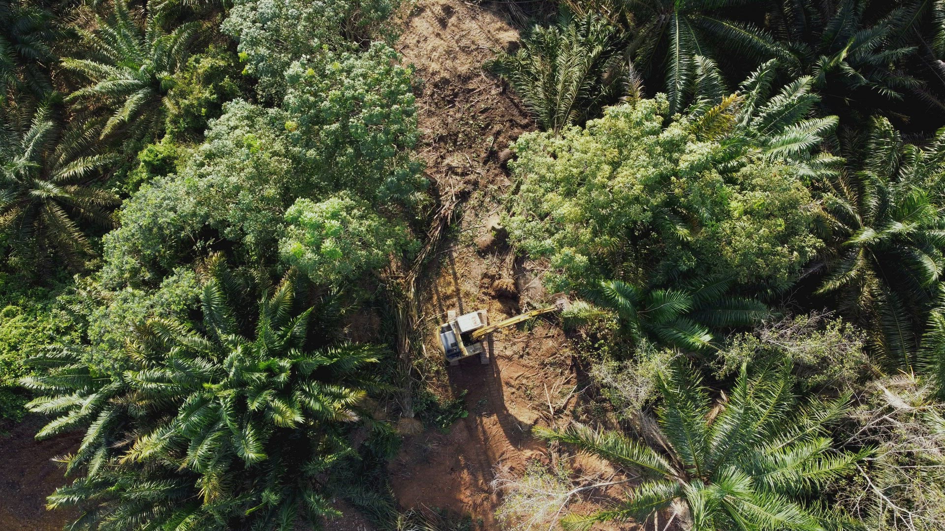 Aerial looking down land clearing by excavator