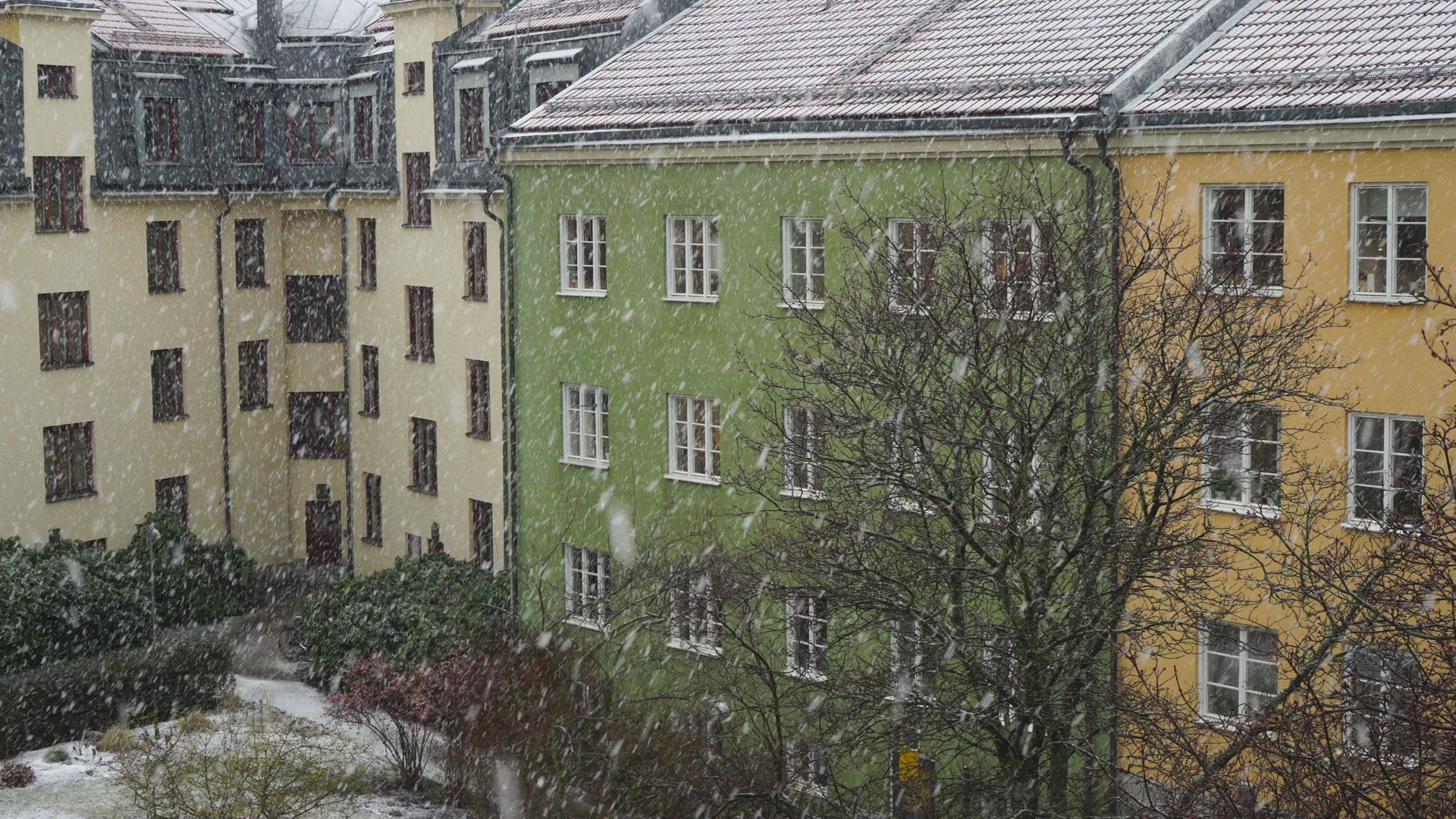 snow falling - tenement houses