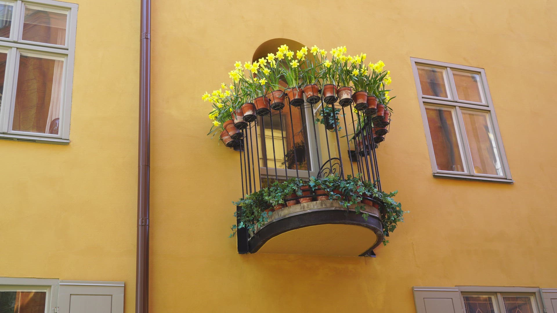 small balcony with lots of flowers