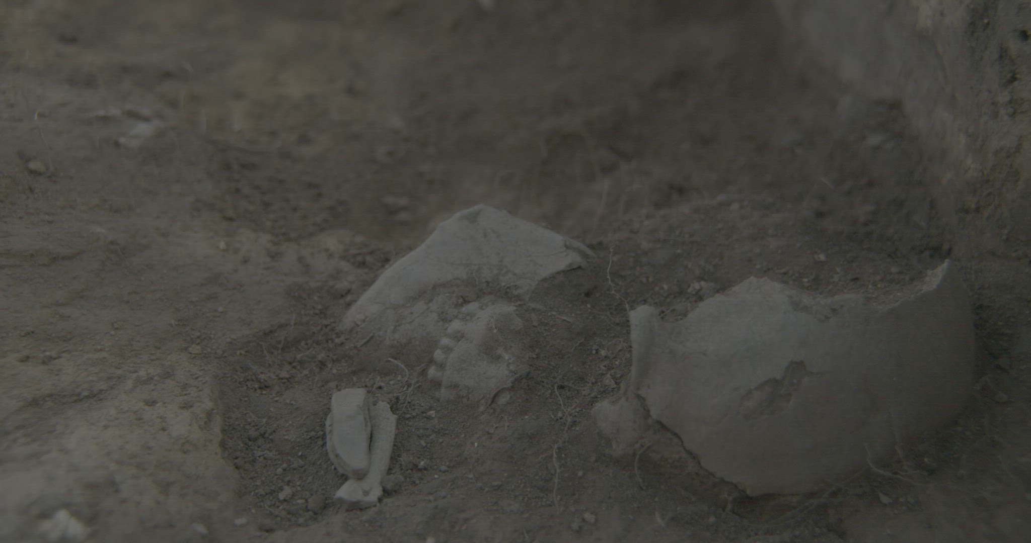 A hand is seen removing dirt from around a human skull at the Botay excavation site.