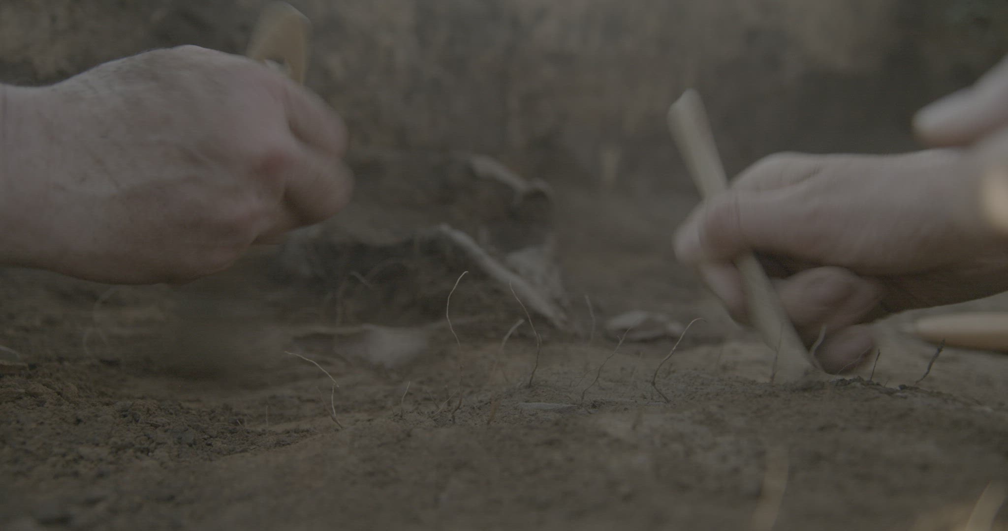 Hands are seen removing dirt from around a human skull at the Botay excavation site with the use of 