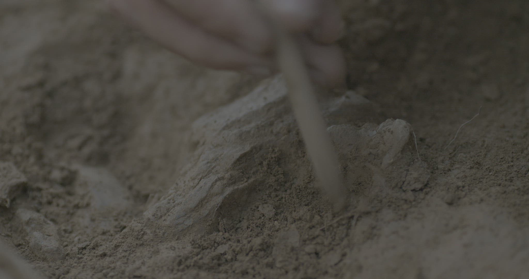 A hand with a tool removes dirt from around a human skull at the Botay excavation site.