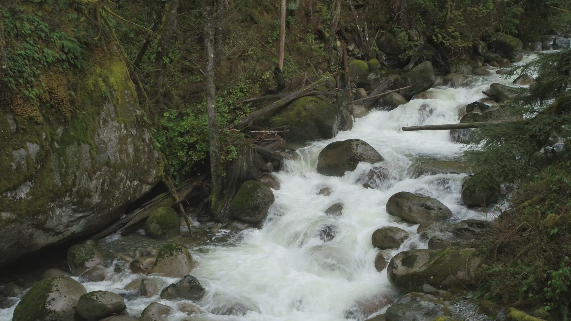 Aerial of River Rapids