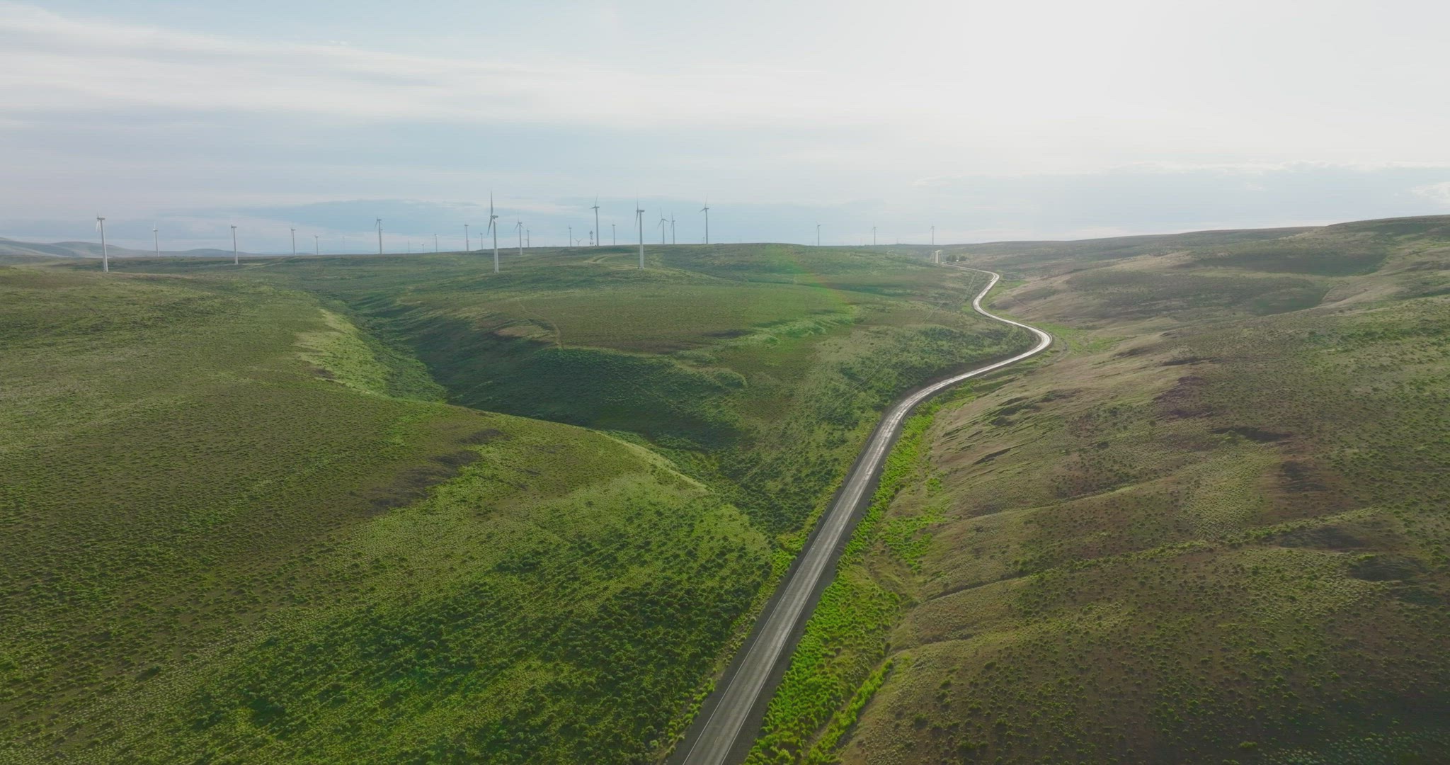 Wide aerial of road through wind turbine farm