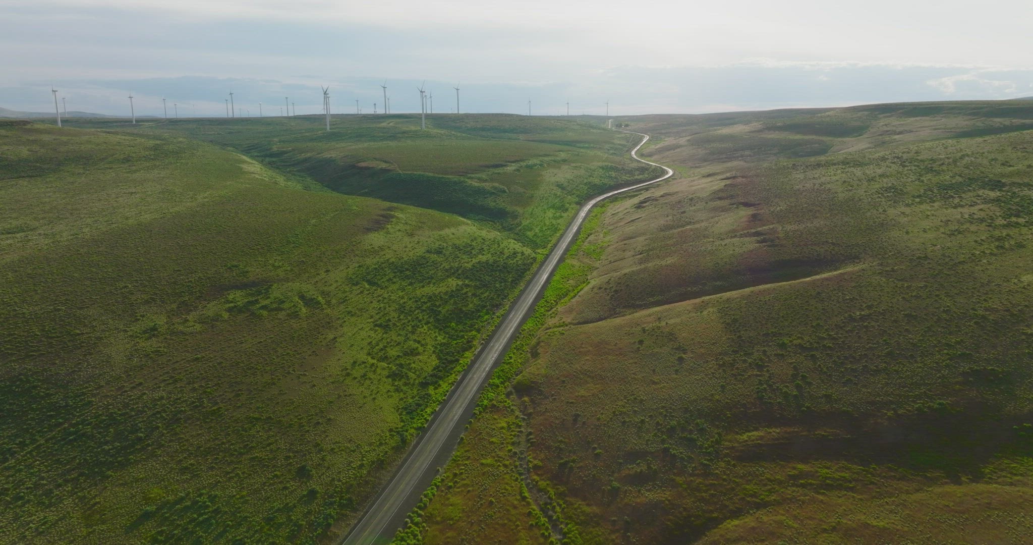 Wide aerial of road through wind turbine farm