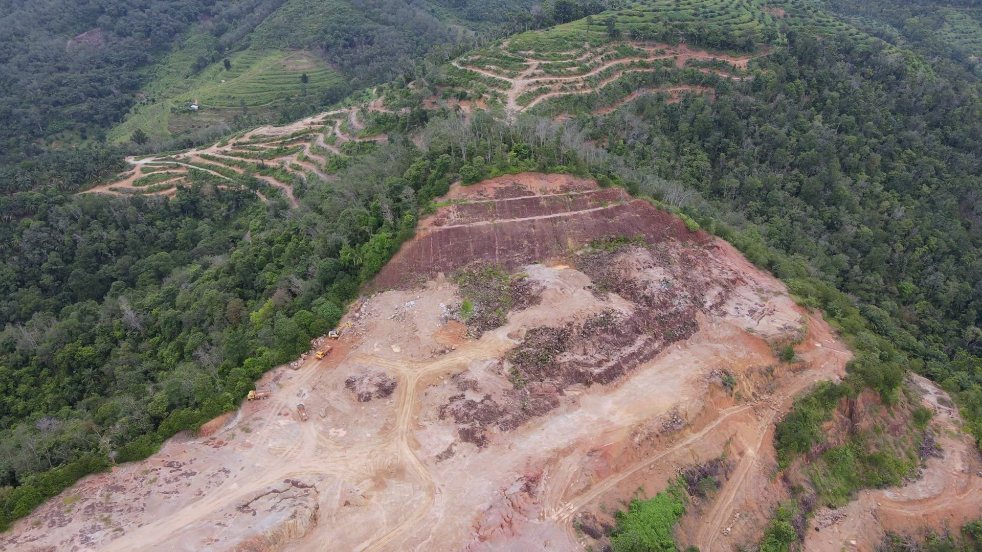 Aerial view land clearing activity at plantation