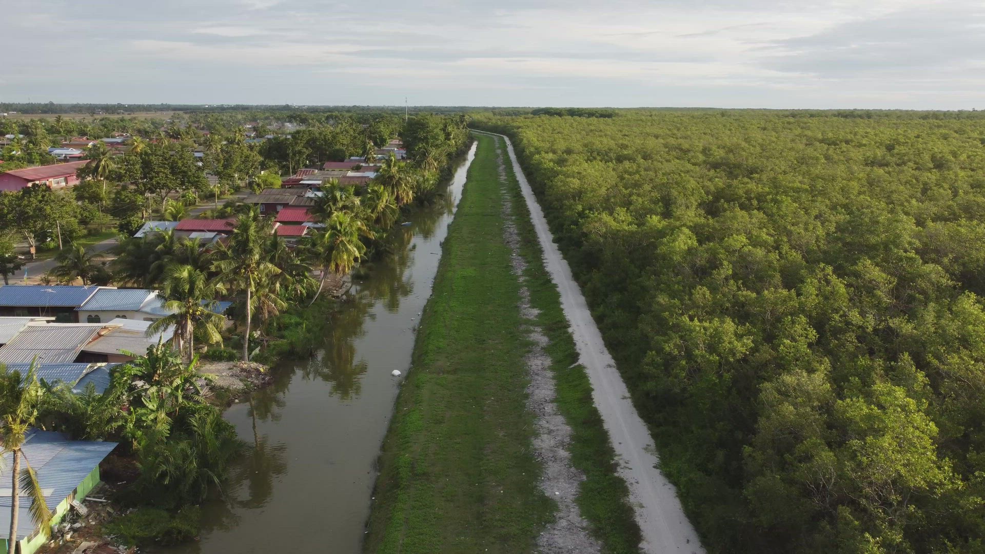Aerial view mangrove forest beside Malays kampung