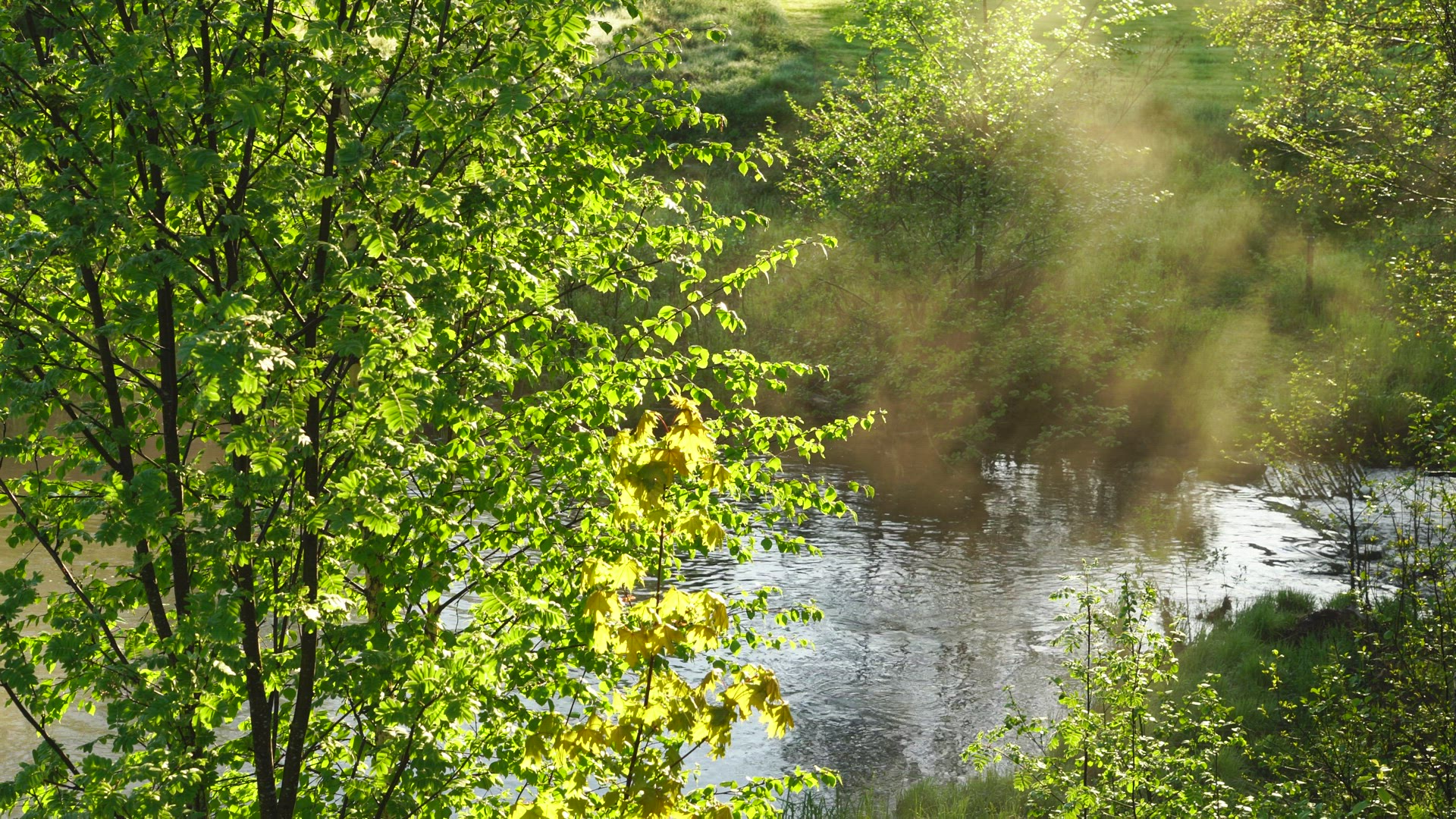 fog lightens over small river - early morning - sun rays