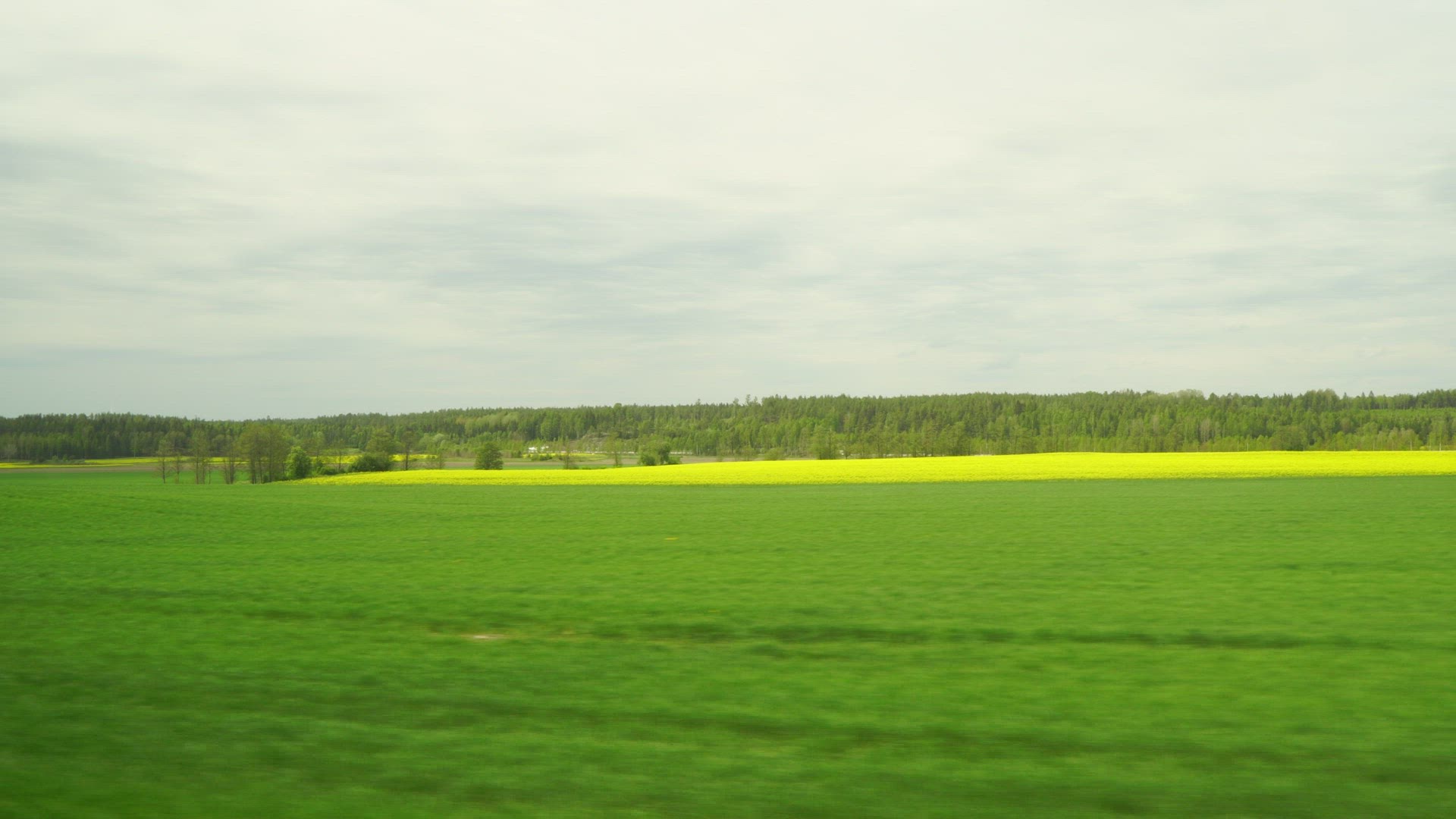pov from train - travelling - swedish landscape with fields