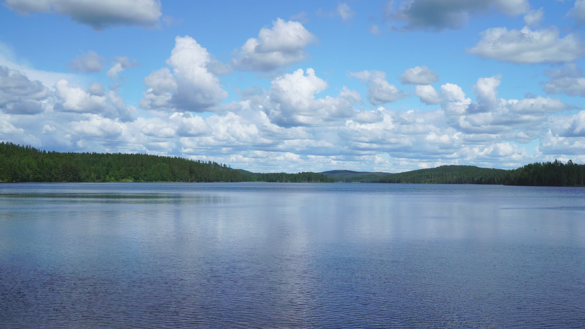 view over lake and forest in Värmland