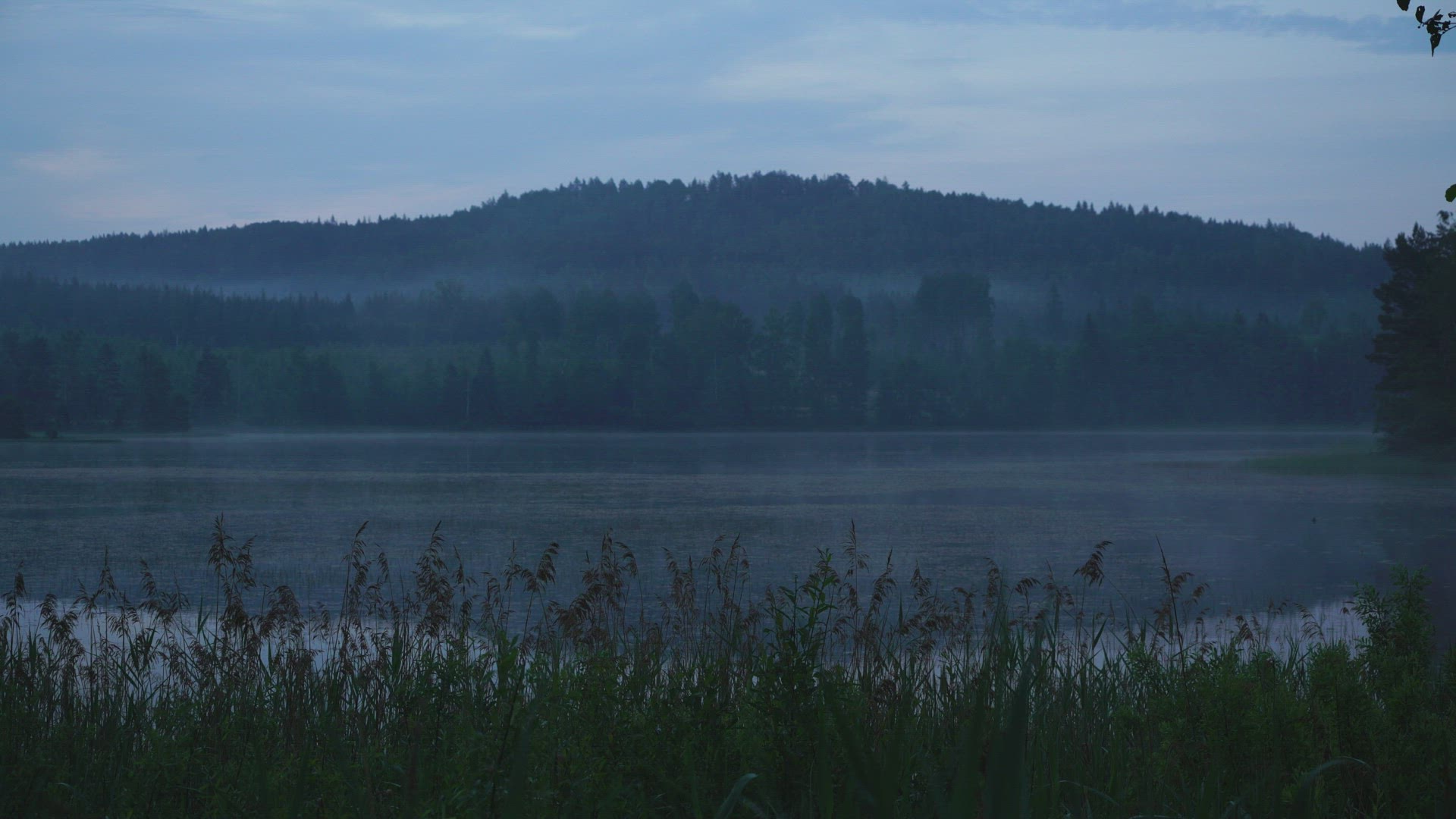 tarn i swedish forest - misty summer evening - ripples on the water