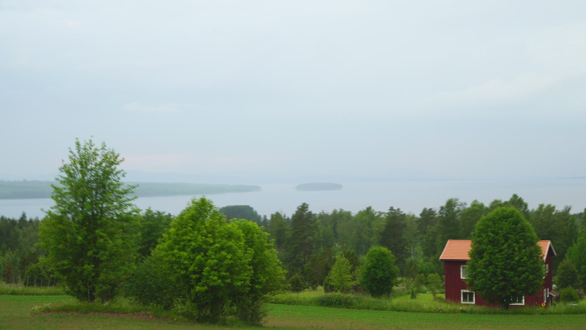 view over lake Siljan, Dalecarlia - red house - seagull flying