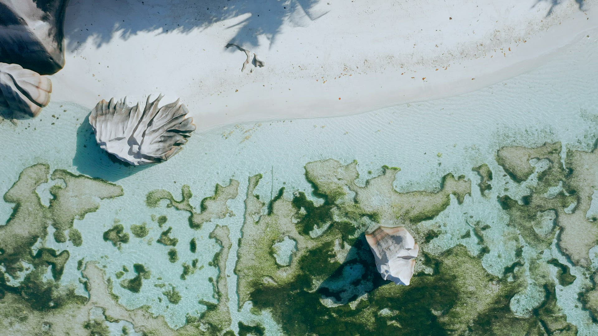 Aerial 4k top-down view flight above epic granite boulders in calm low tide water on Anse Source D'a