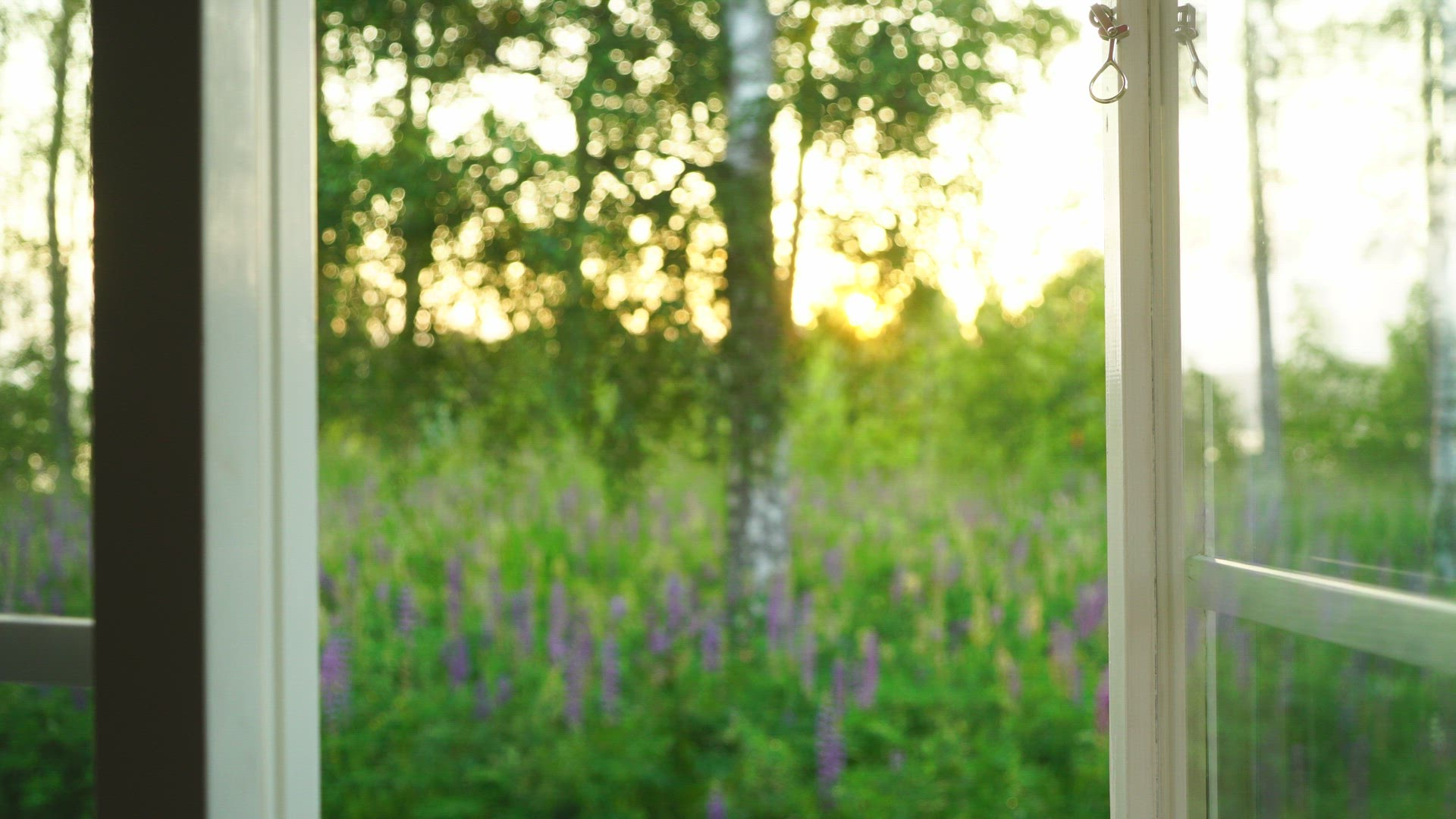 view through open window - summer landscape with flowers and trees - landscape out of focus