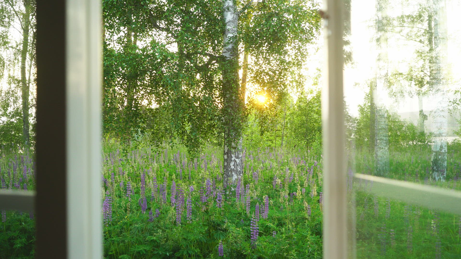 view through open window - summer landscape with flowers and trees 