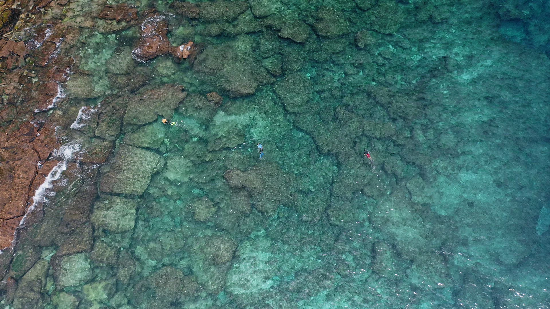 Aerial drone 4k top-down footage of tourist snorkeling above rocks with old coral reef