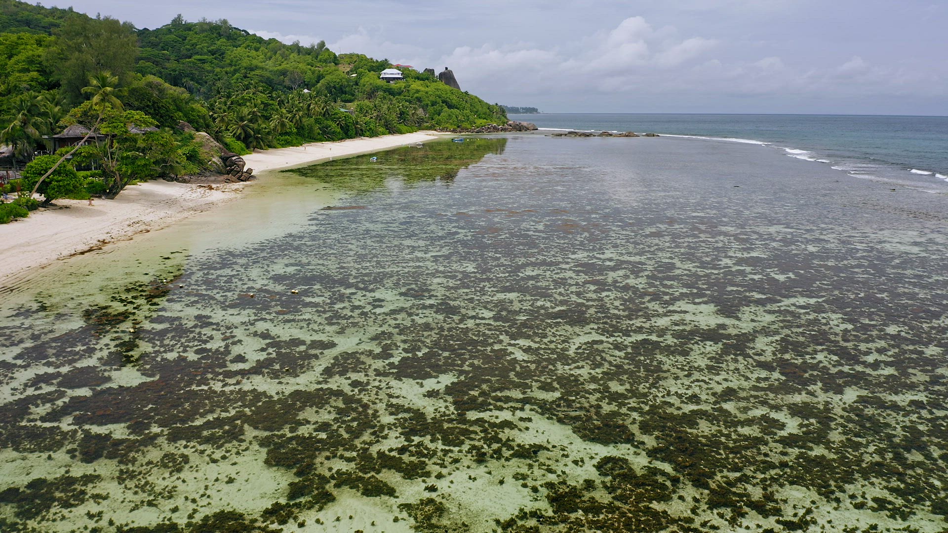 Aerial view of tropical beaches with shallow water at Anse Forbans, on Mahe Island, Seychelles