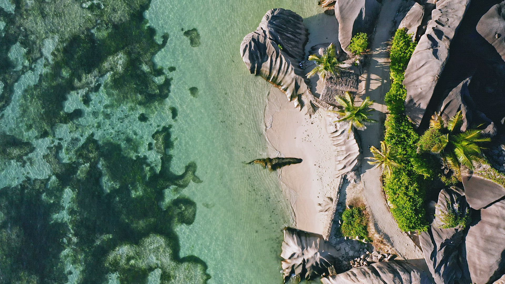 Aerial 4K top down view of well known Anse Source d'Argent tropical beach at sunny day bright light.