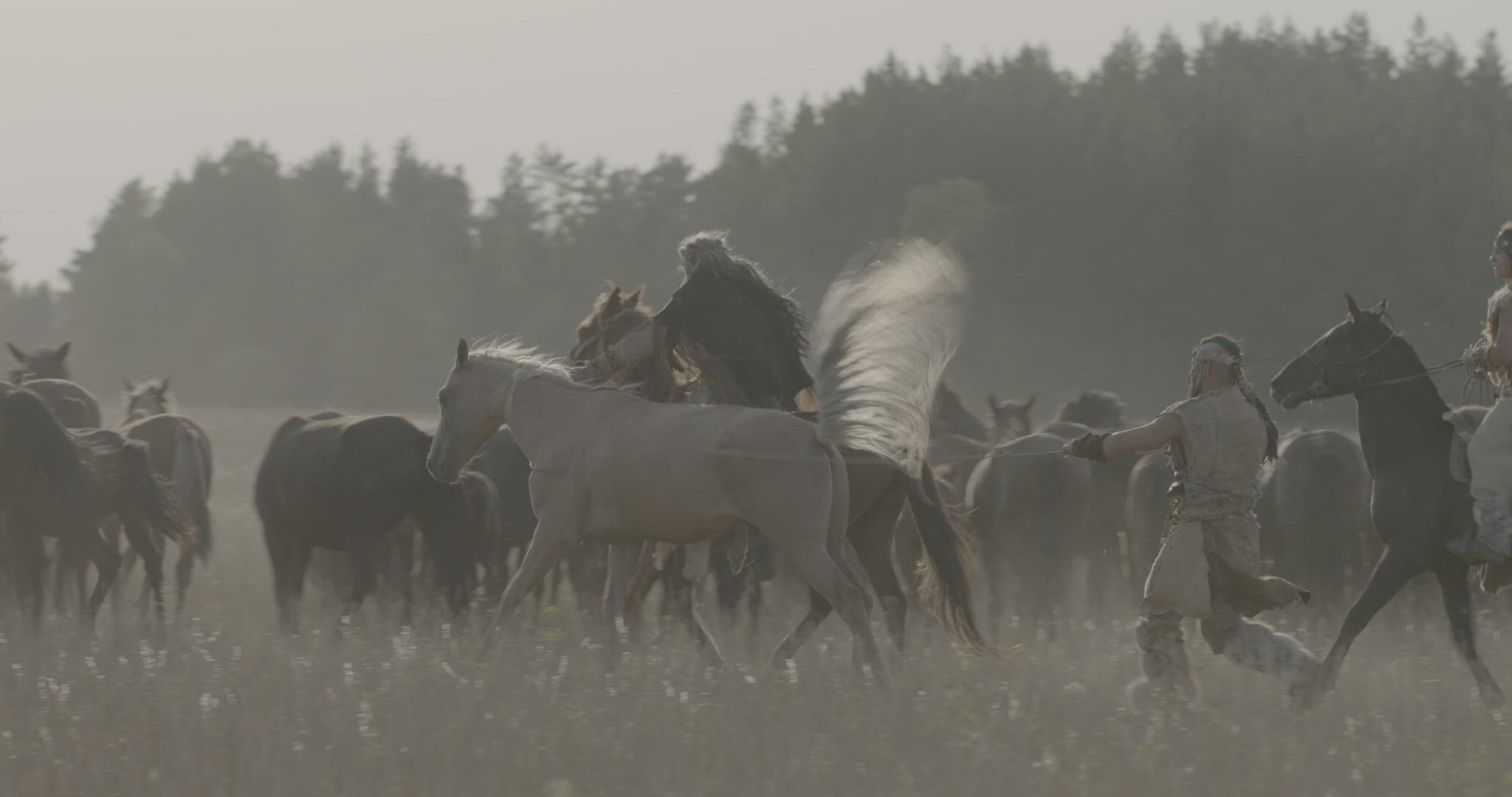 A nomad steals a horse