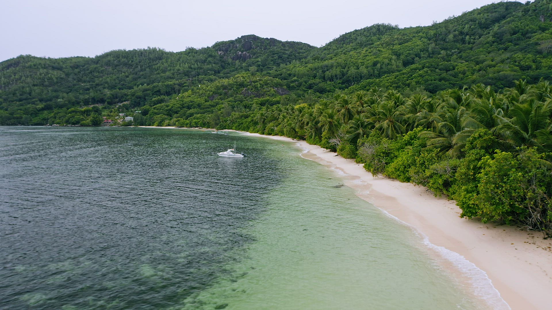 Aerial view of tropical beaches with coconut palm trees at Anse Forbans, on Mahe Island, Seychelles