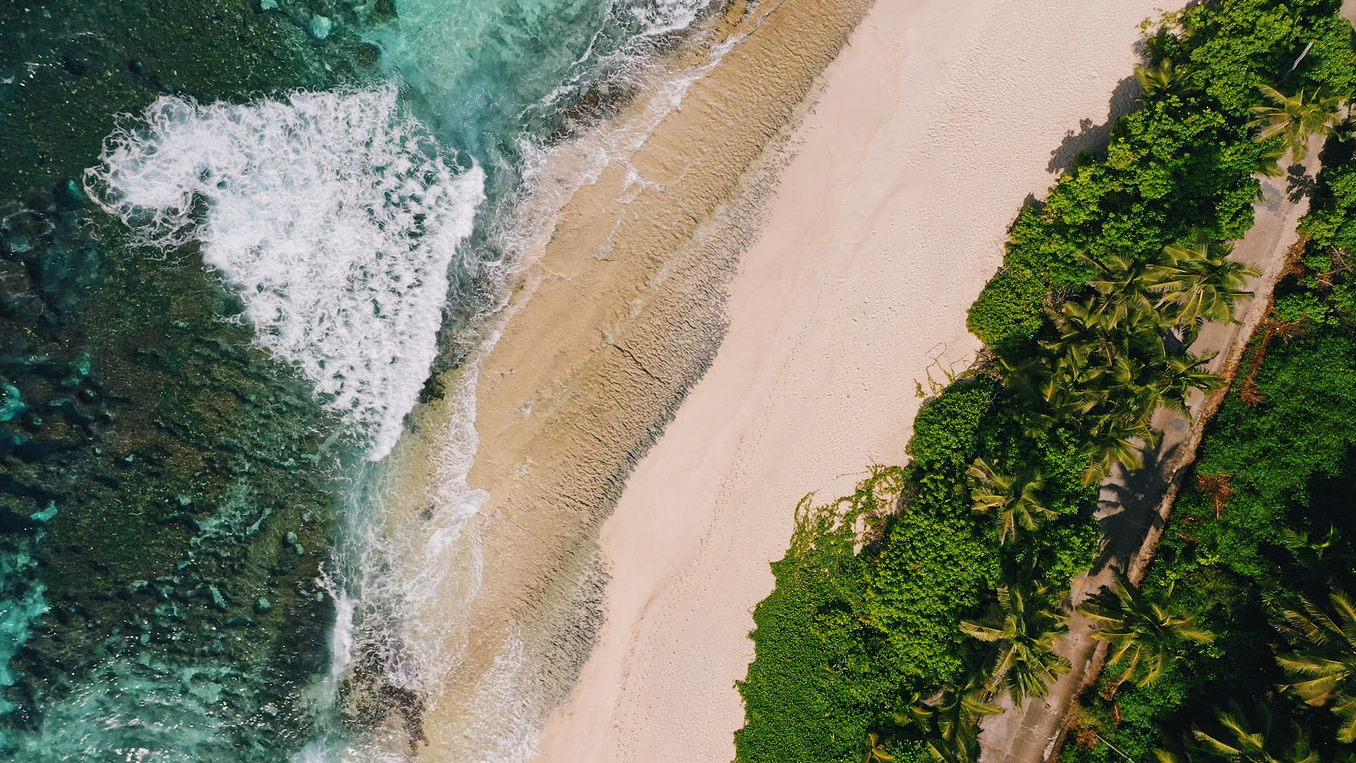 Aerial top down view of tropical sand beach, ocean waves and palm trees. Summer vacation, travel and