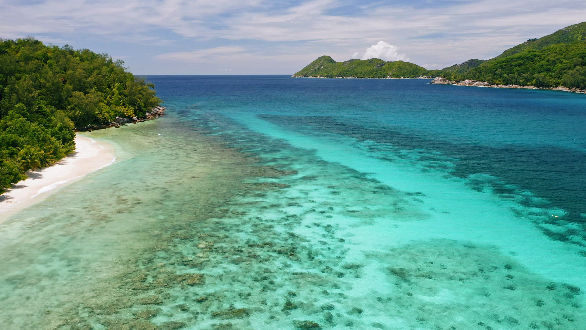 Mahe, Seychelles exotic beach with palm trees and blue ocean water lagoon. Aerial view travel relax 